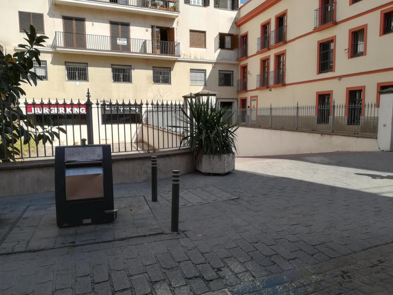 Arias Seville